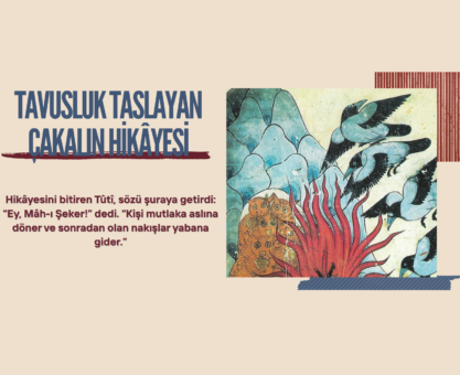 Tavusluk Taslayan Çakalın Hikâyesi